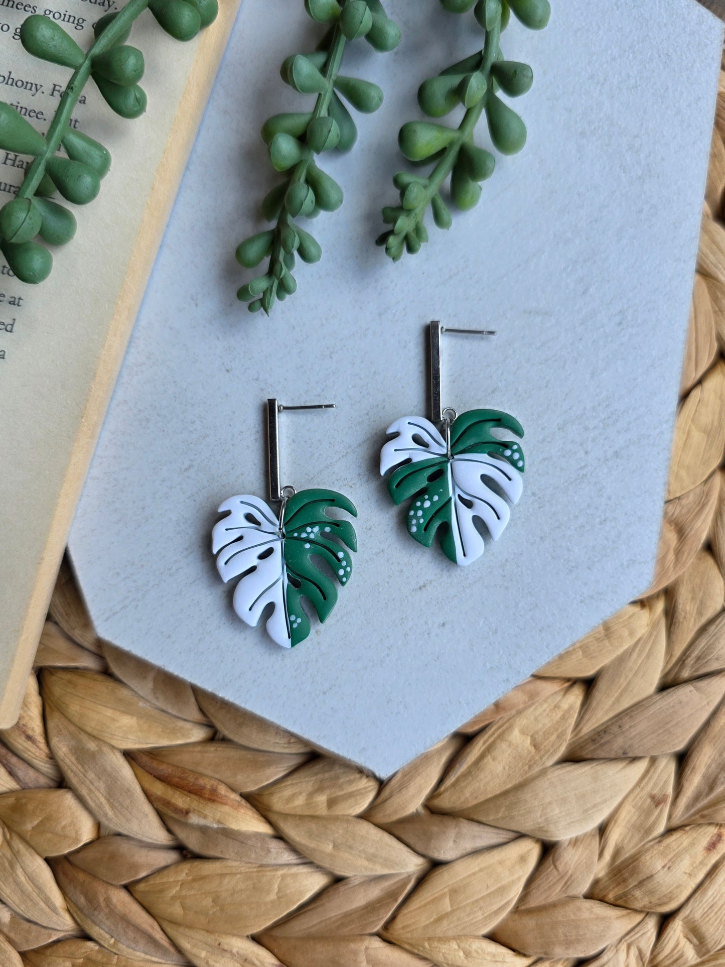Variegated Monstera