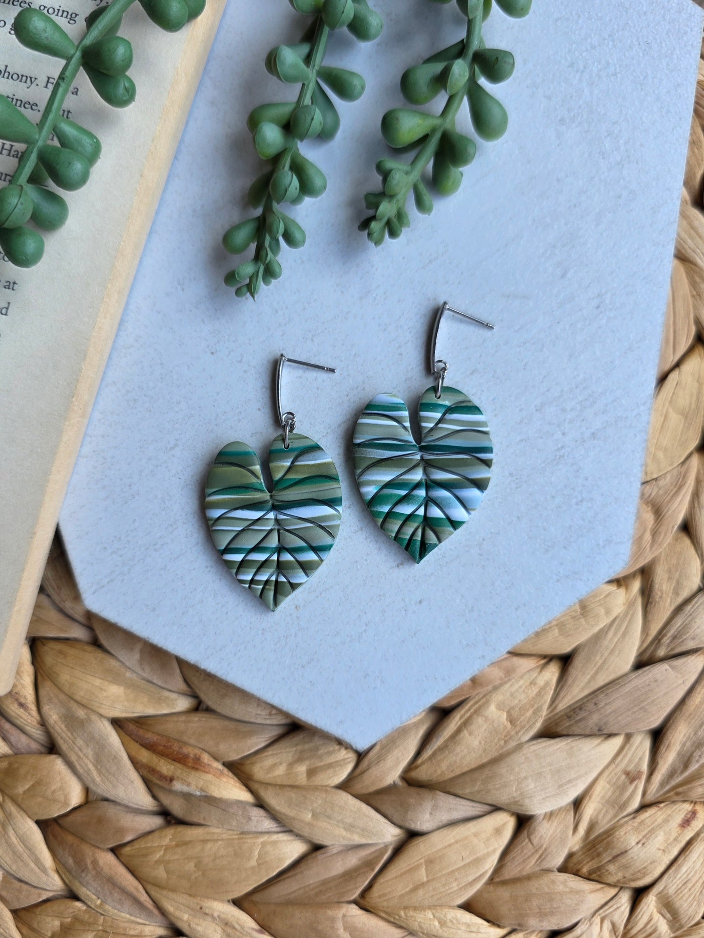 Striped Philodendron