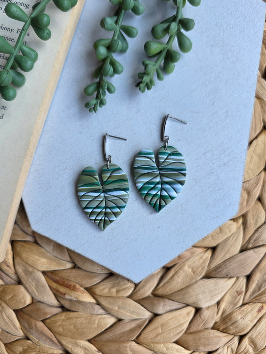 Striped Philodendron